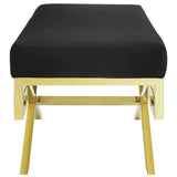 Gold Black