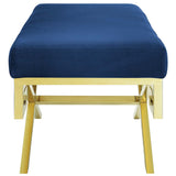 Gold Navy