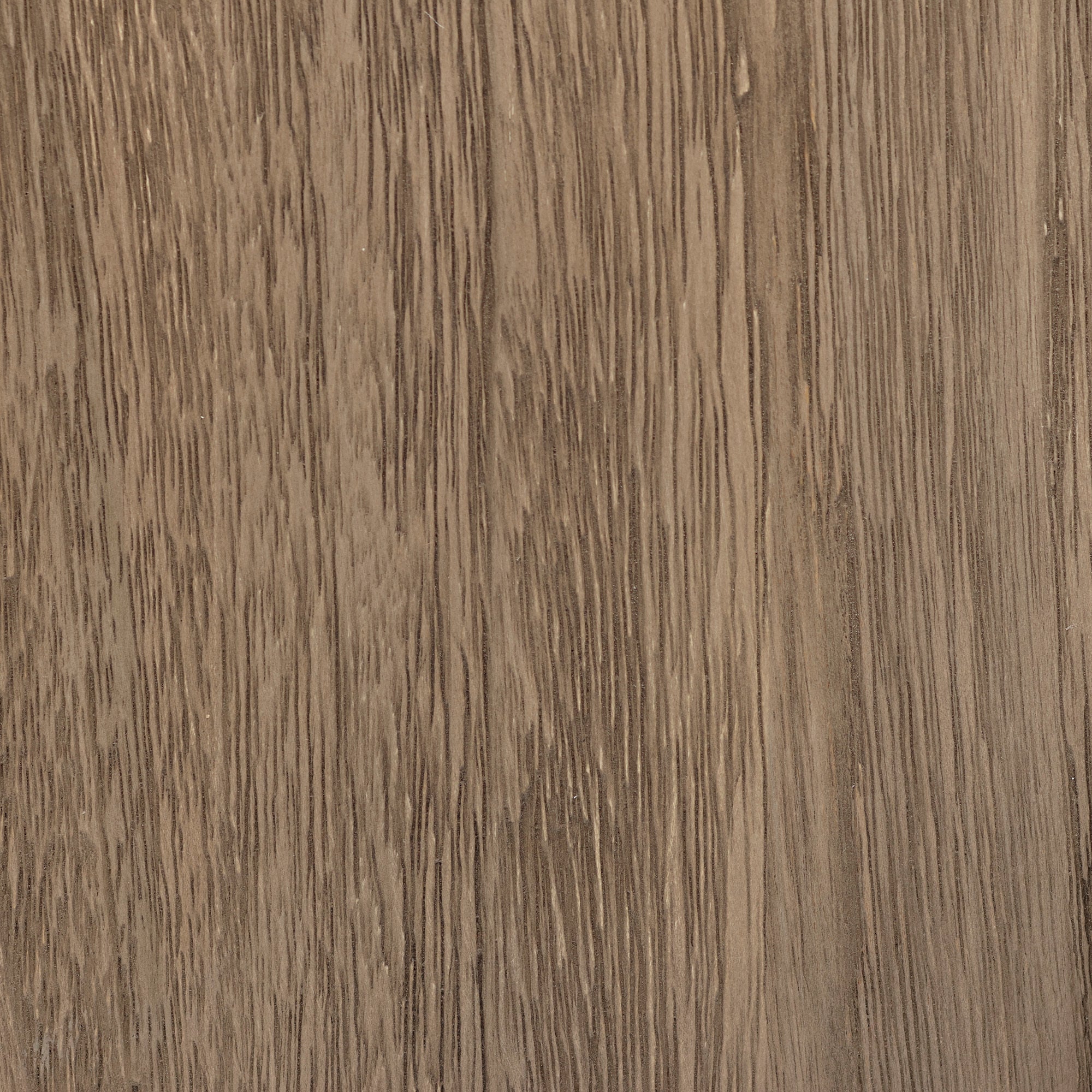 Weathered Gray White