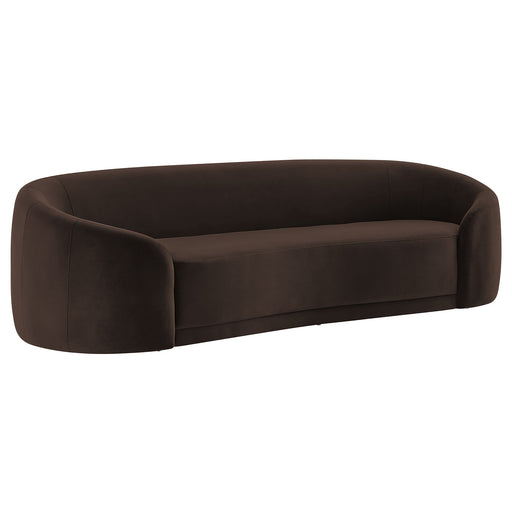 Chocolate Brown