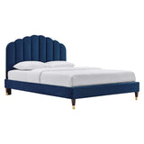 Navy / Queen