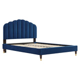 Navy / Queen