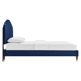 Navy / Queen