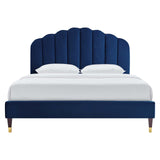 Navy / Queen