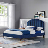 Navy / Queen