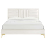 White / Queen