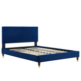 Navy / Full