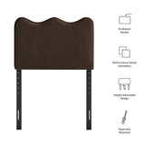 Chocolate Brown / Twin