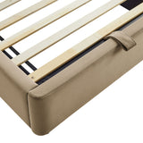Taupe / Twin